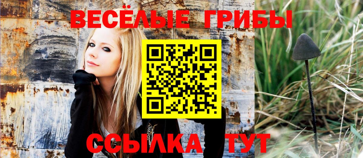 Псилоцибиновые грибы прущие грибы Магадан