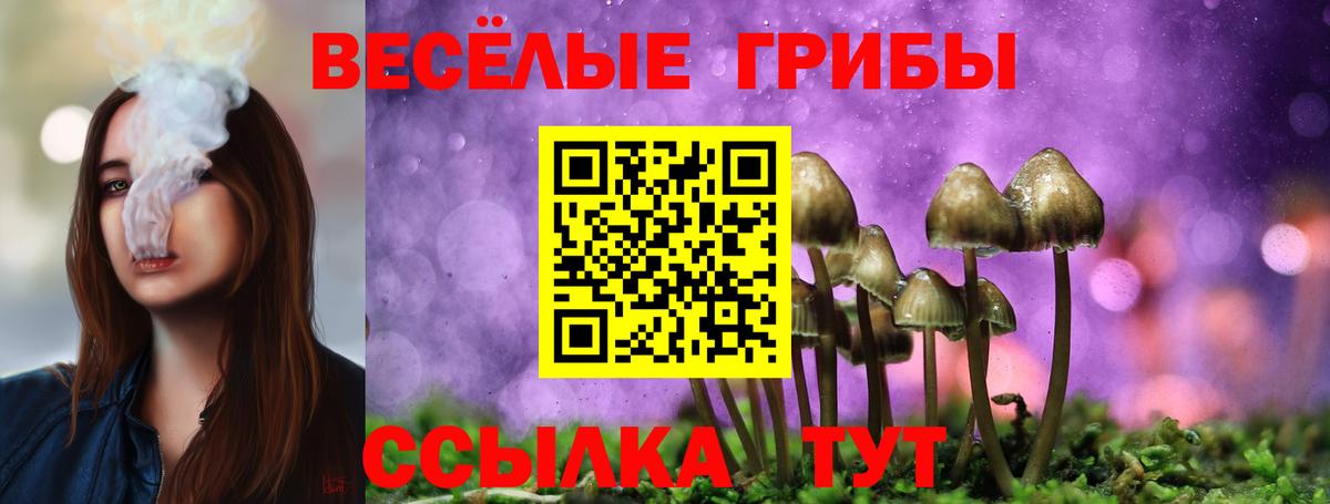Галлюциногенные грибы GOLDEN TEACHER  Вход с VPN  Магадан 